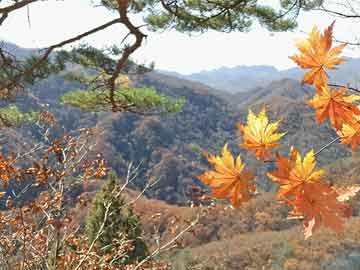 林芝地区市体育局最新动态报道