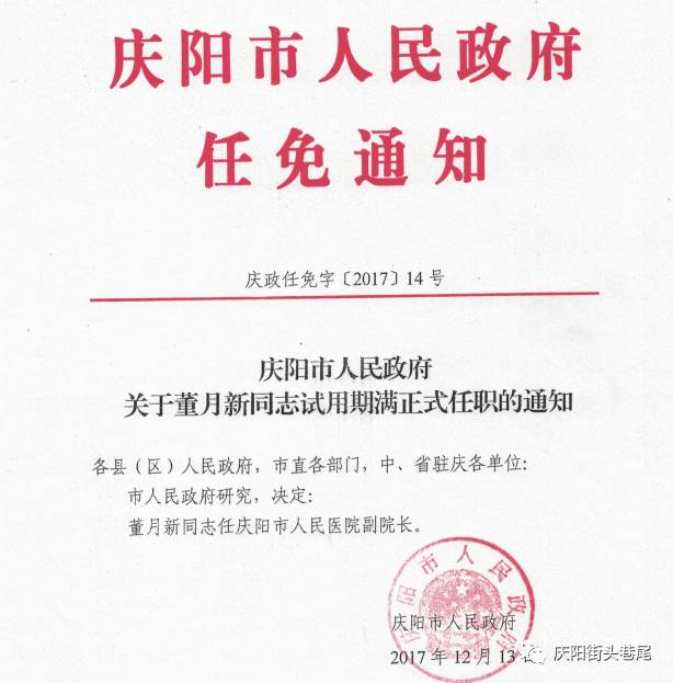 乐清市审计局人事任命重塑审计体系，助力地方经济高质量发展