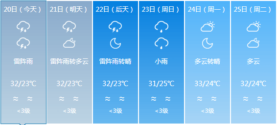 2024年12月1日 第7页