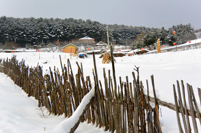 岗巴雪村交通新篇章，通达之路启航，新征程开启