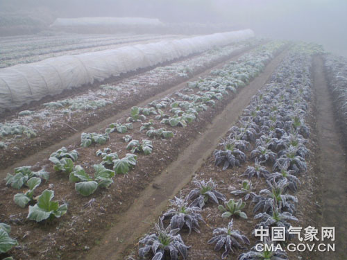 永丰镇天气预报更新通知