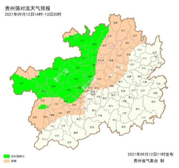 2024年12月10日 第14页