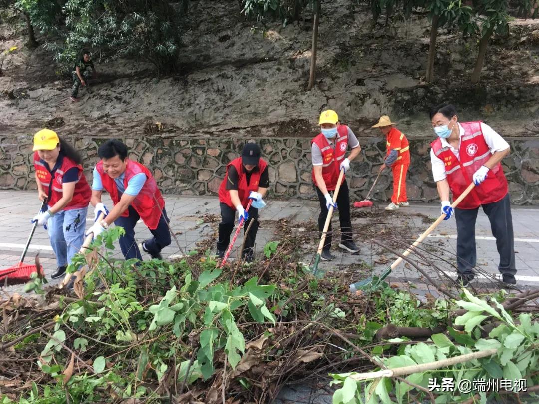 城东区卫生健康局发展规划，构建健康城东区的未来蓝图