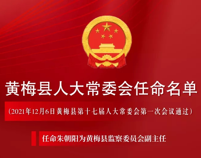 黄梅县人民政府办公室最新人事任命，塑造未来领导团队