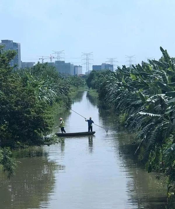 番禺区应急管理局启动新项目，构建现代化应急管理体系以提升区域响应能力