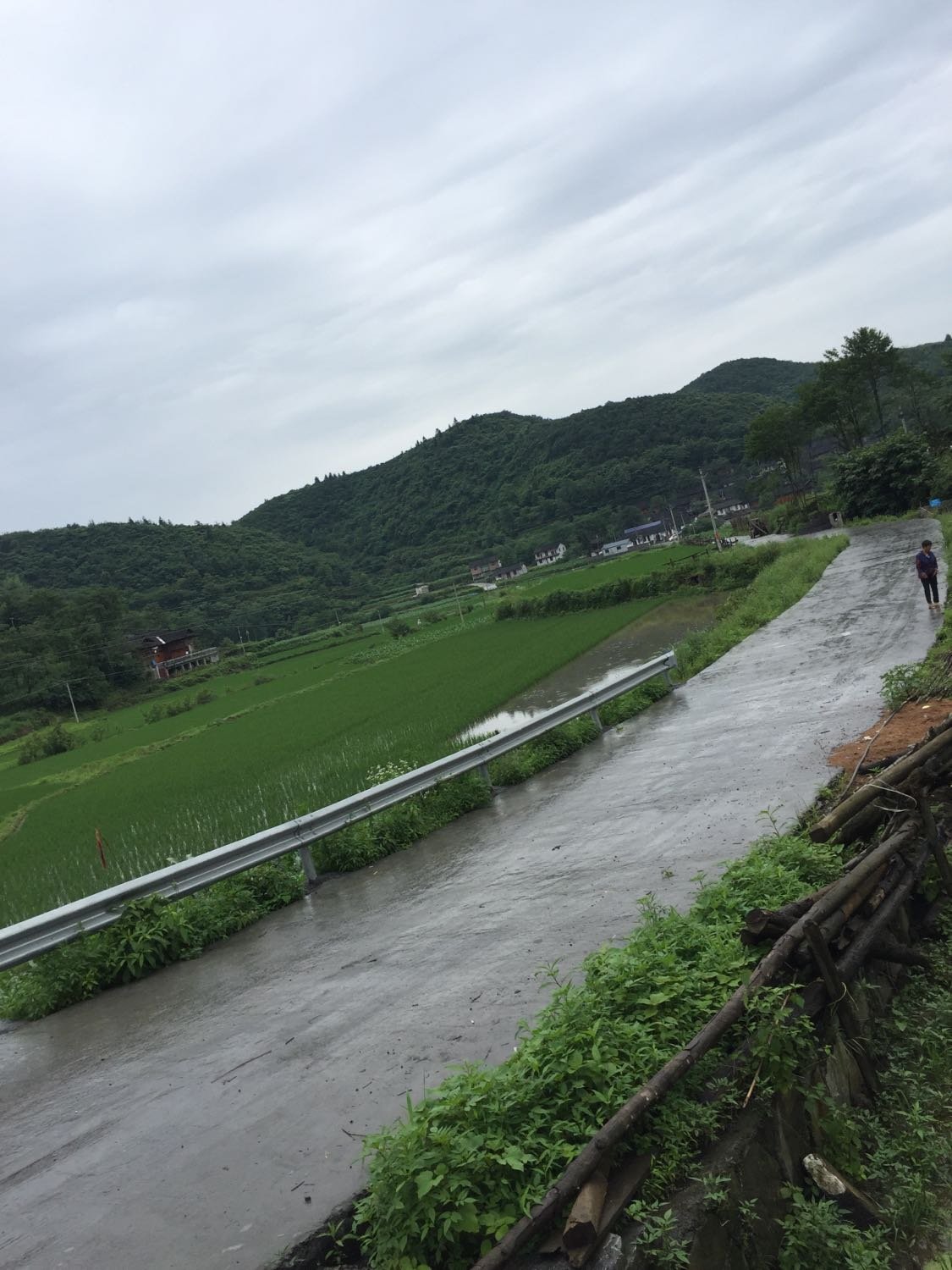 马家坪村民委员会最新天气预报