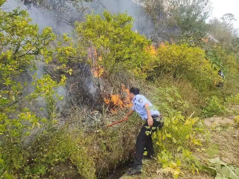 阳朔县文化局新项目助力地方文化繁荣与传承