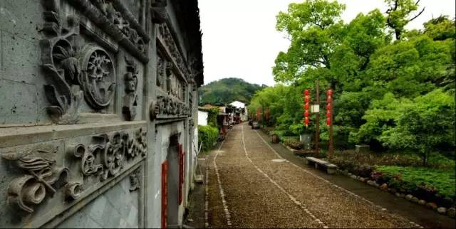 头堰村乡村振兴新篇章，社区发展新动态报道