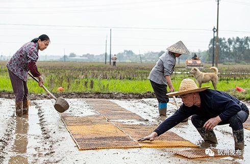 钦南区防疫检疫站最新发展规划展望