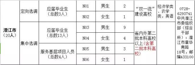 弋江区初中招聘最新信息总览