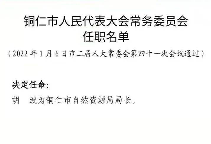 仁和区体育局人事任命揭晓，塑造体育事业崭新篇章的领航者