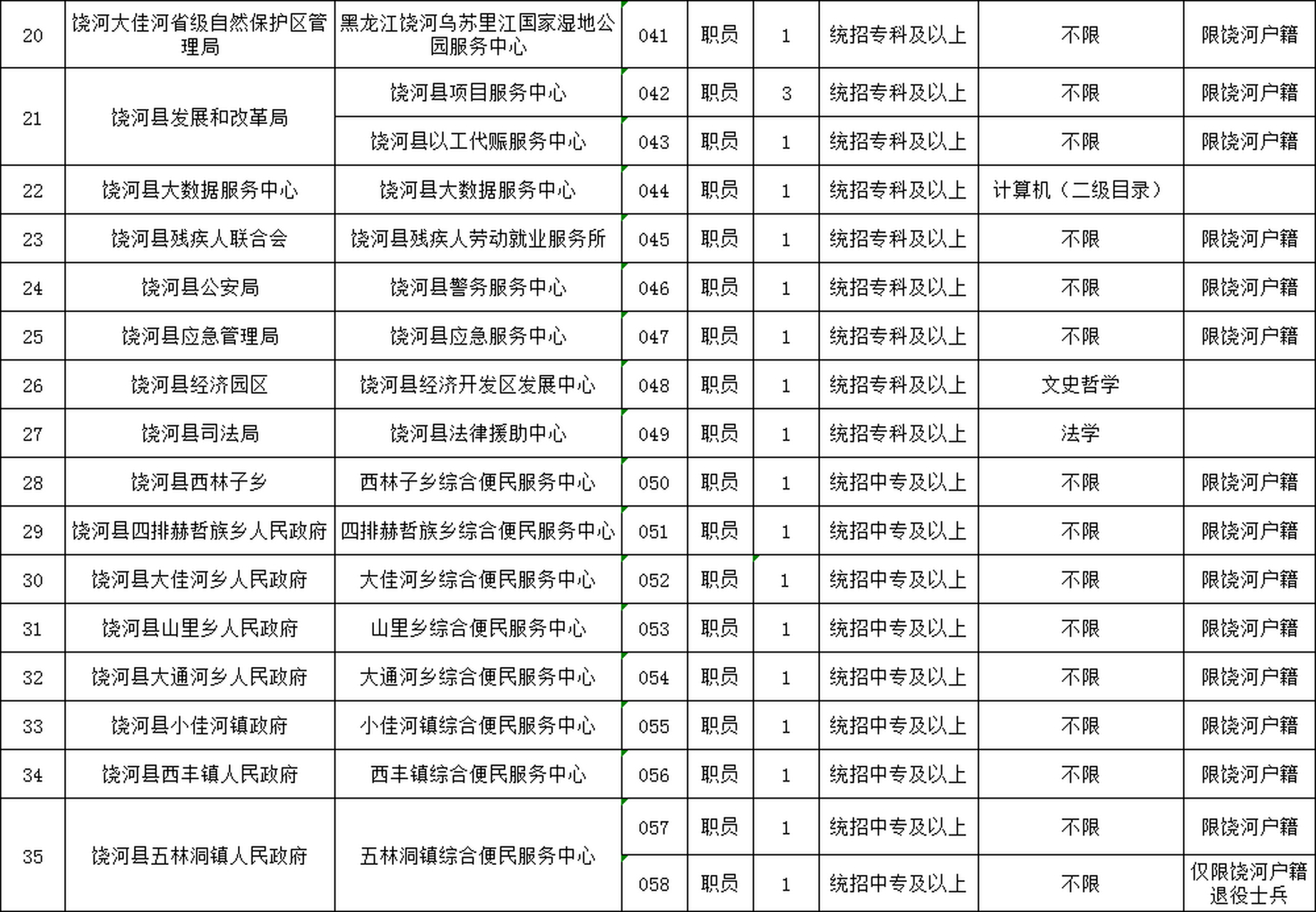 靖宇县数据和政务服务局招聘公告详解