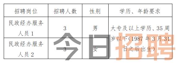 彬县教育局最新招聘信息公开详解