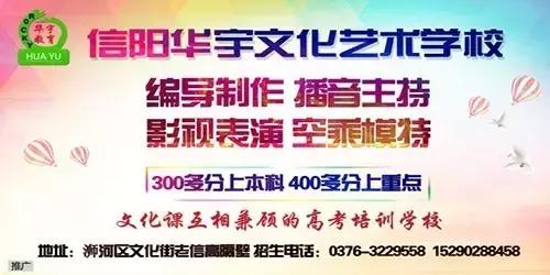 树林村委会最新招聘信息与招聘细节深度解析