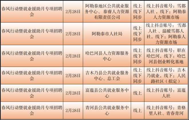 丽水市统计局最新招聘启事概览