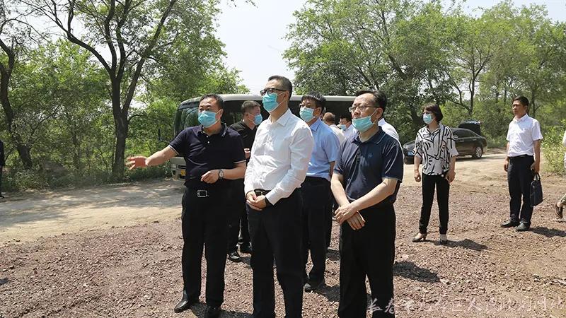 龙嘉镇（东湖生态经济开发区），天气预报与生态经济展望