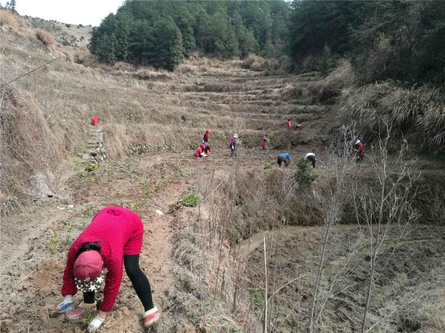 岳西县科技局领导团队最新概述