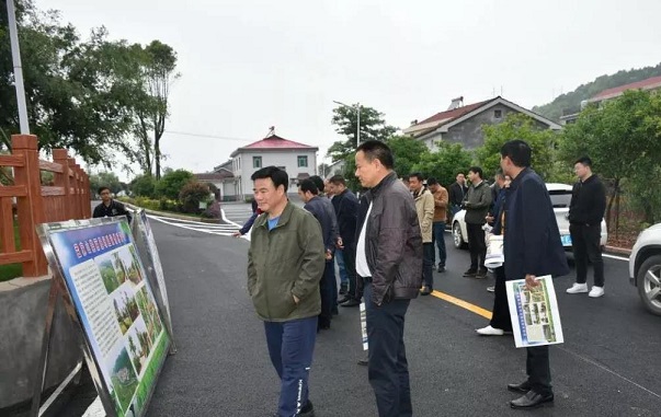 龙湾村委会新领导团队引领村庄开启发展新征程